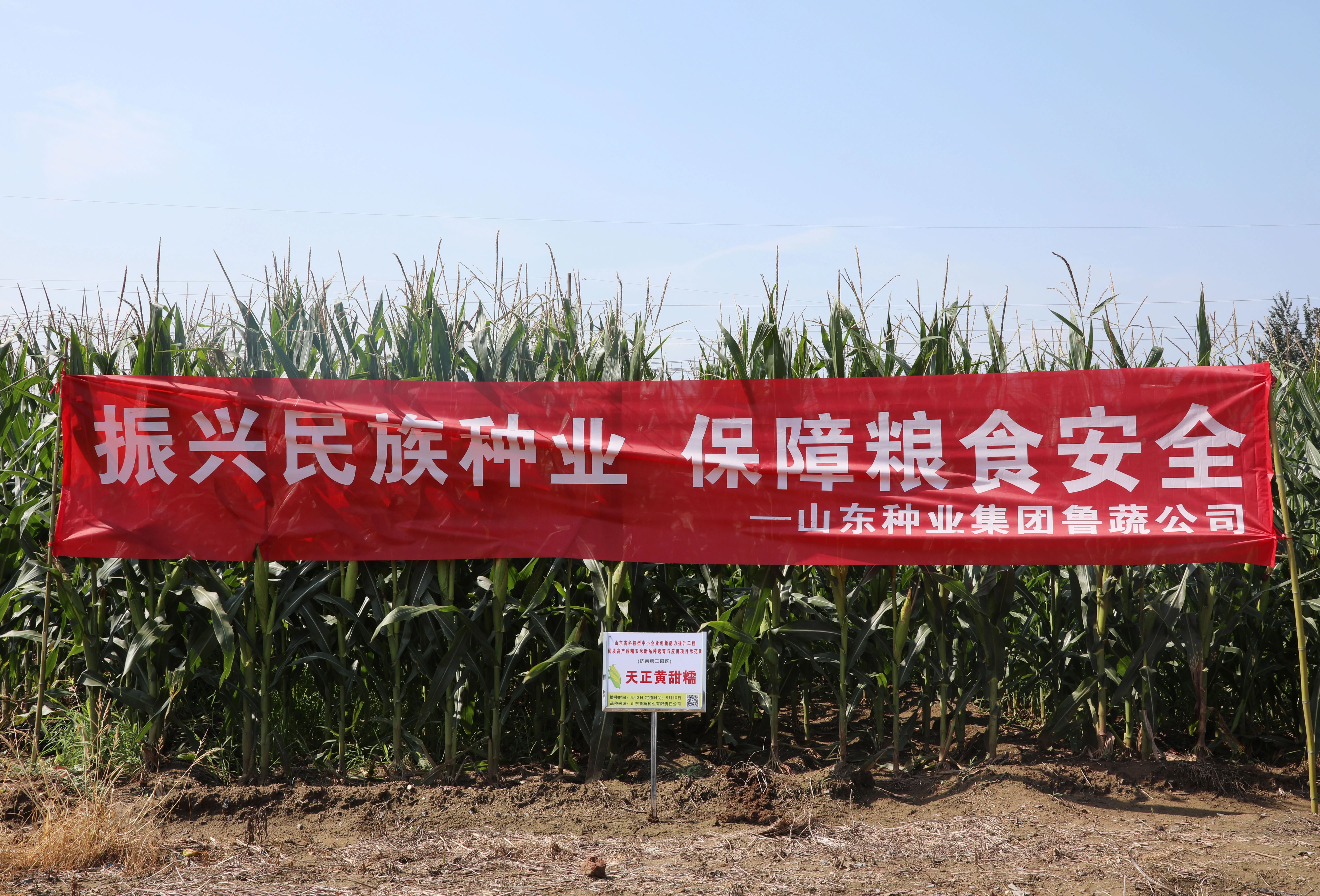 BWIN·必赢(中国)唯一官方网站